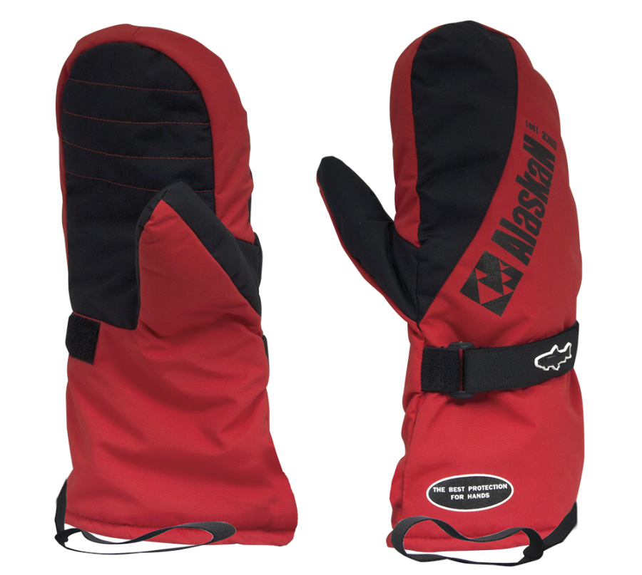 Insulated Mittens New Polar